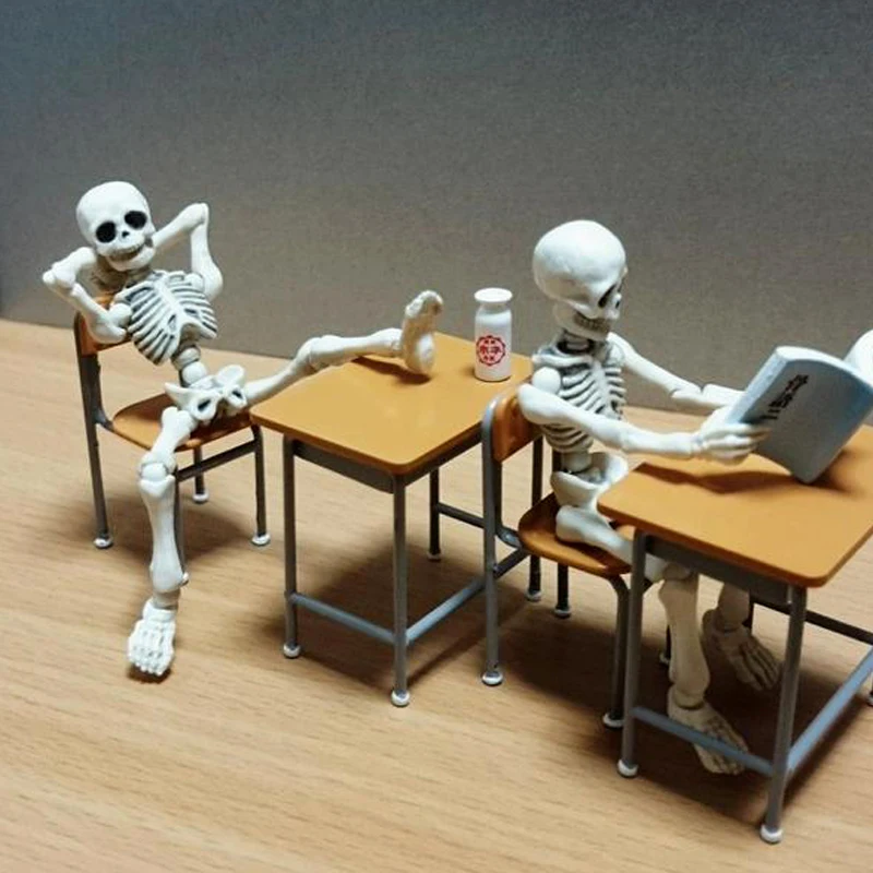 Внутренние Re единение с едой череп человека серии на шарнирах представляют