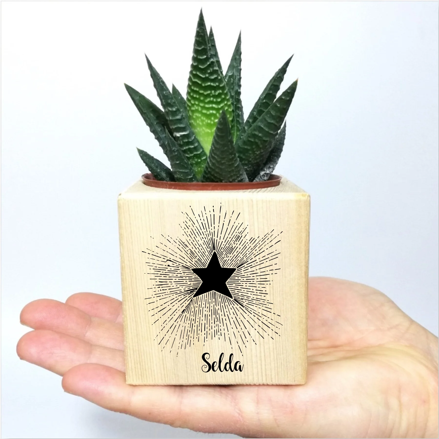 

Personalized Star Themed Wooden Pots Sukulent