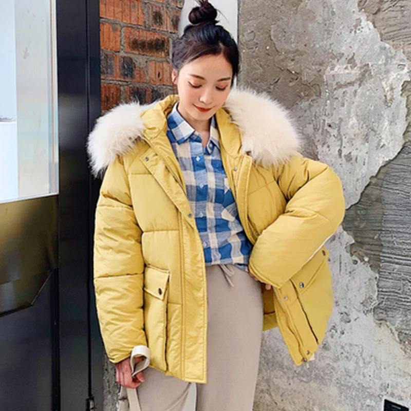 2019 New Autumn Winter Women Hooded Short Down cotton jacket Female Padded Fur Collar Casual Cotton coat cc778 | Женская одежда