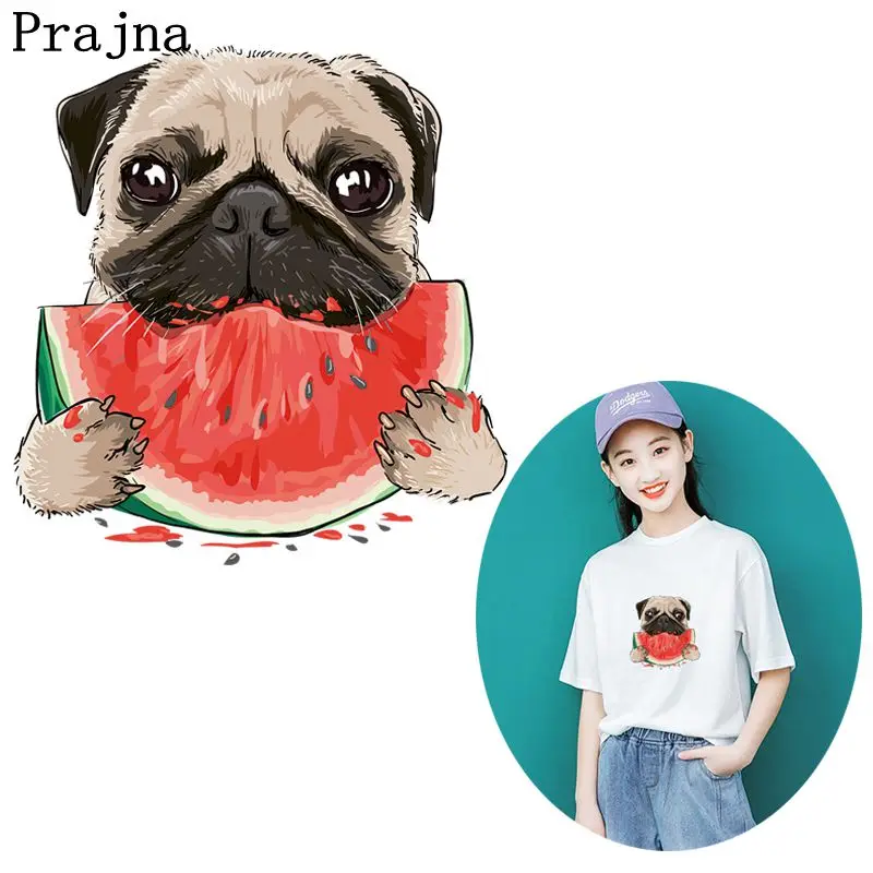 Prajna арбузная собака теплопередача горячее виниловое железо на теплопередаче для