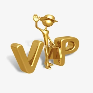 vip kid toy free global shipping
