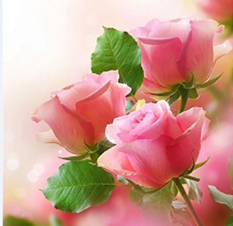 5d сделай сам розовая роза алмазная вышивка цветок круглая живопись крестиком