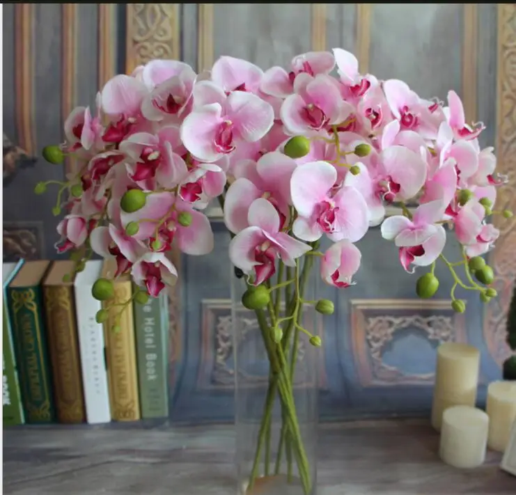 Kopen Elegante Witte Phalaenopsis Vlinder Orchidee Bloem 78 Cm/30.71