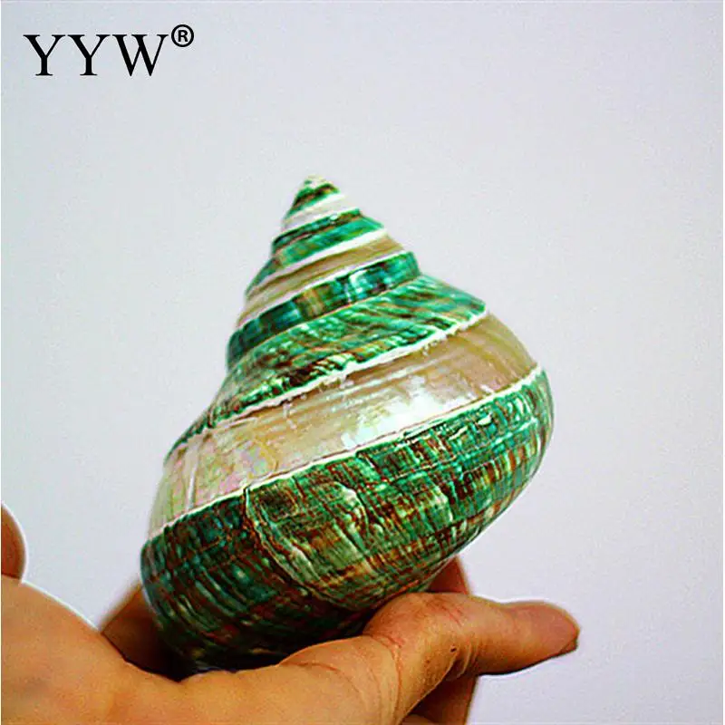 Статуя с зелеными морскими ракушками Schelpen Conchas Морской Декор для дома Coquillage Hogar