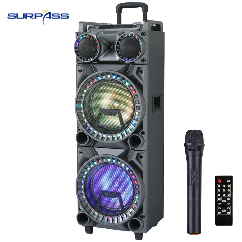 Двойной 10 дюймовый сабвуфер домашний аудио усилитель система Крытый Pro