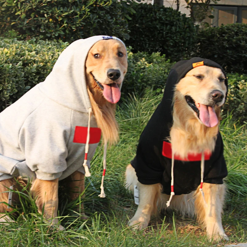 Одежда для крупных собак Весенняя толстовка с капюшоном золотистый ретривер