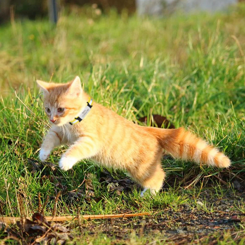 Персонализированные табличка ошейник для кота колье с колокольчиками