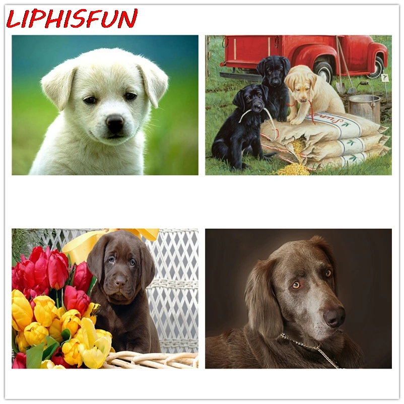 

LIPHISFUN 5D алмазная живопись, сделай сам, лабрадор, собака, вышивка крестом, вышивка, стразы, живопись, декор для комнаты животного