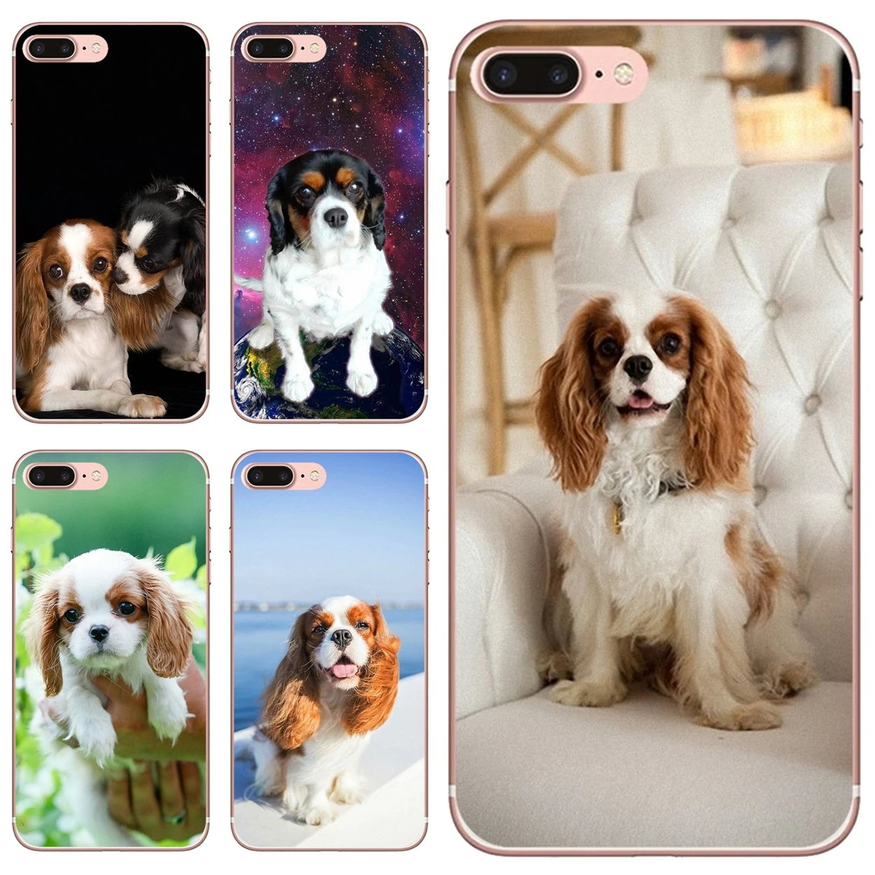 

Cavalier King Charles Spaniel Dog Soft Case For iPhone 10 11 12 13 Mini Pro 4S 5S SE 5C 6 6S 7 8 X XR XS Plus Max 2020