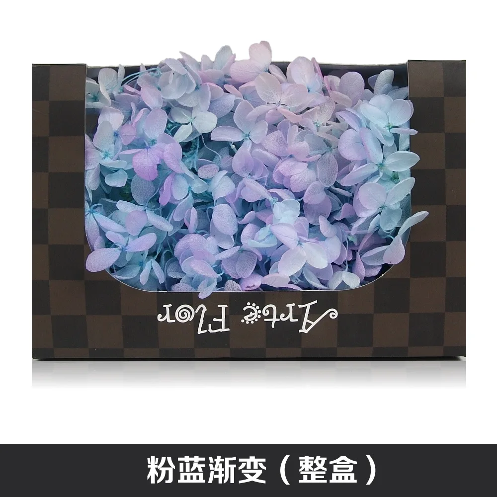 Сохраненный цветок гортензии в коробке натуральный настоящий бессмертный