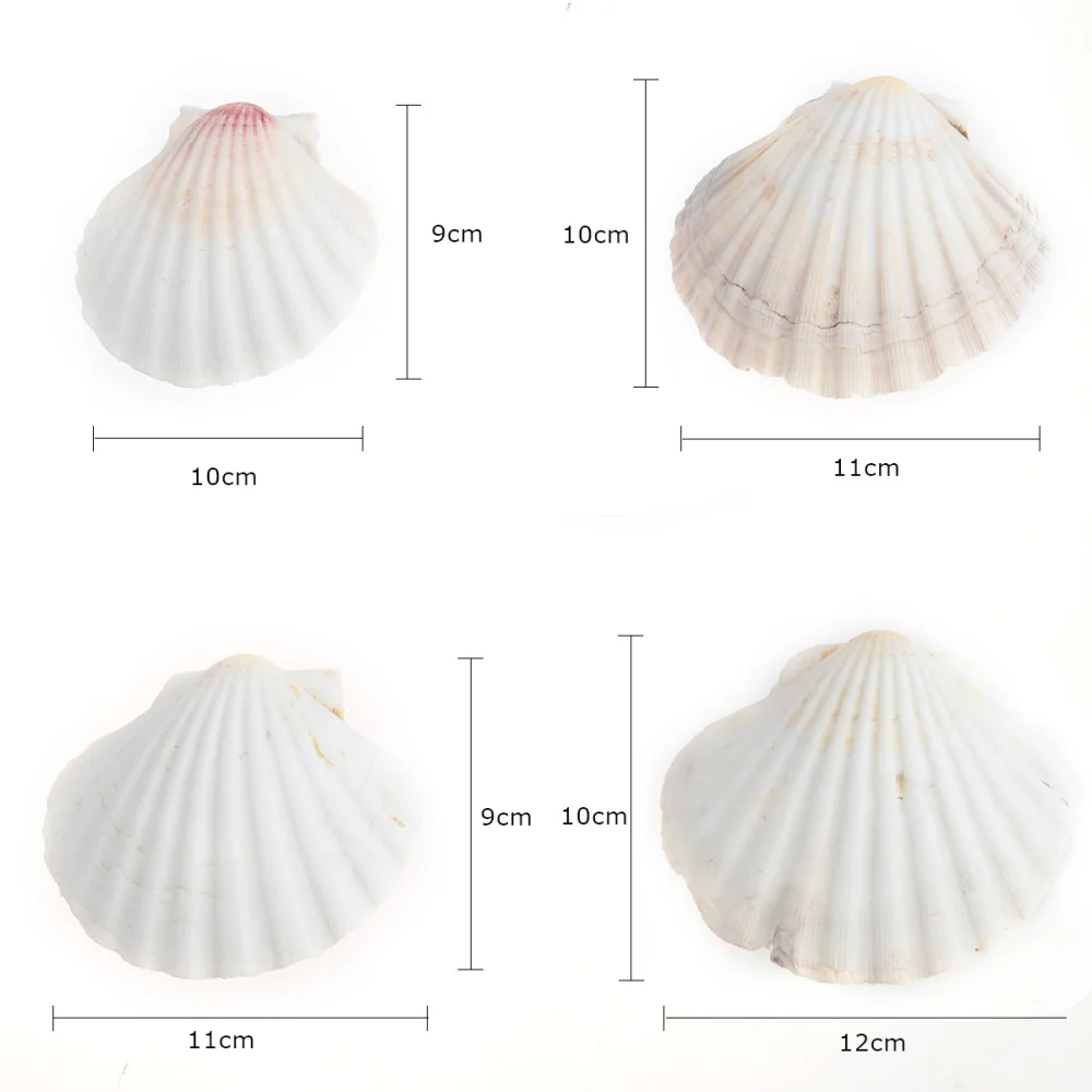 

4pcs 9-14cm Mediterranean Style DIY Beach SeaShells Sea Natural Shells Shell Crafts Aquarium Fish Tank Decor