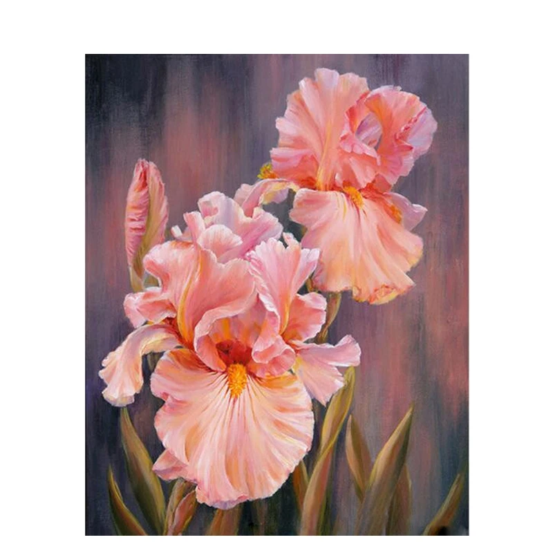 

Oil Painting By Number Flowers For Drawing On Canvas Frame DIY Craft Kit Coloring By Number For Adults Picture Home Decoration