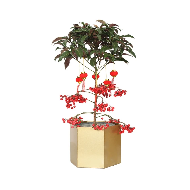 Шестиугольная металла цветочный горшок Железный завод посадочный контейнер для