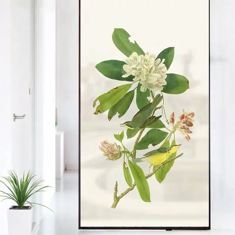 Электростатическая матовая фотопленка домашний декор дверные наклейки из