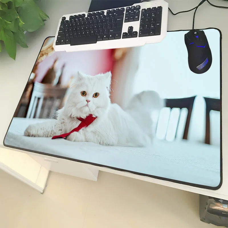 XGZ поддержка пользовательских животных большой коврик для мыши черный замок края озорной прыжки кошка стол для компьютера; стол коврик ткань резиновая нескользящая Xxl