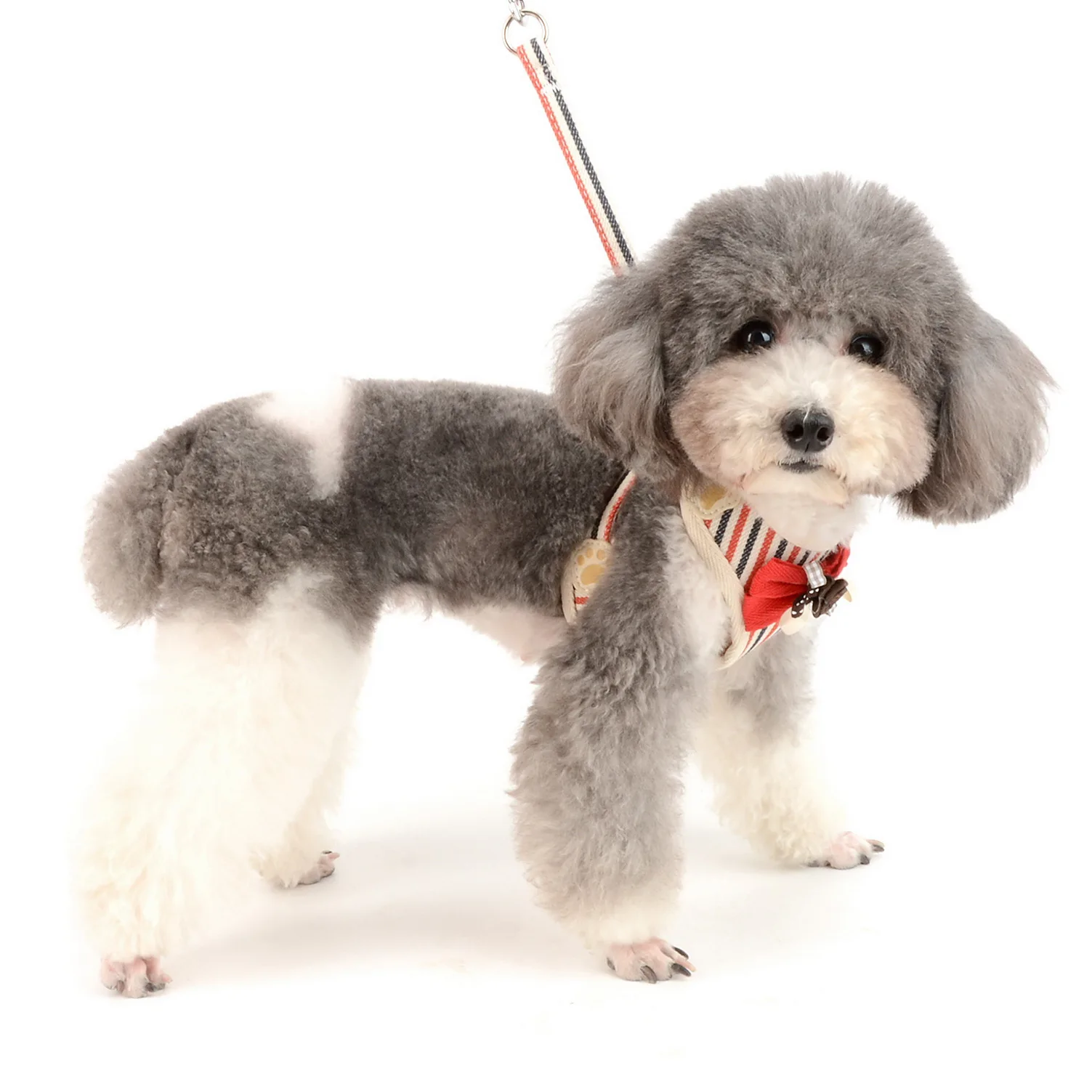 Бантик в полоску для девочек поводок маленьких собак кошек прогулок защищенный