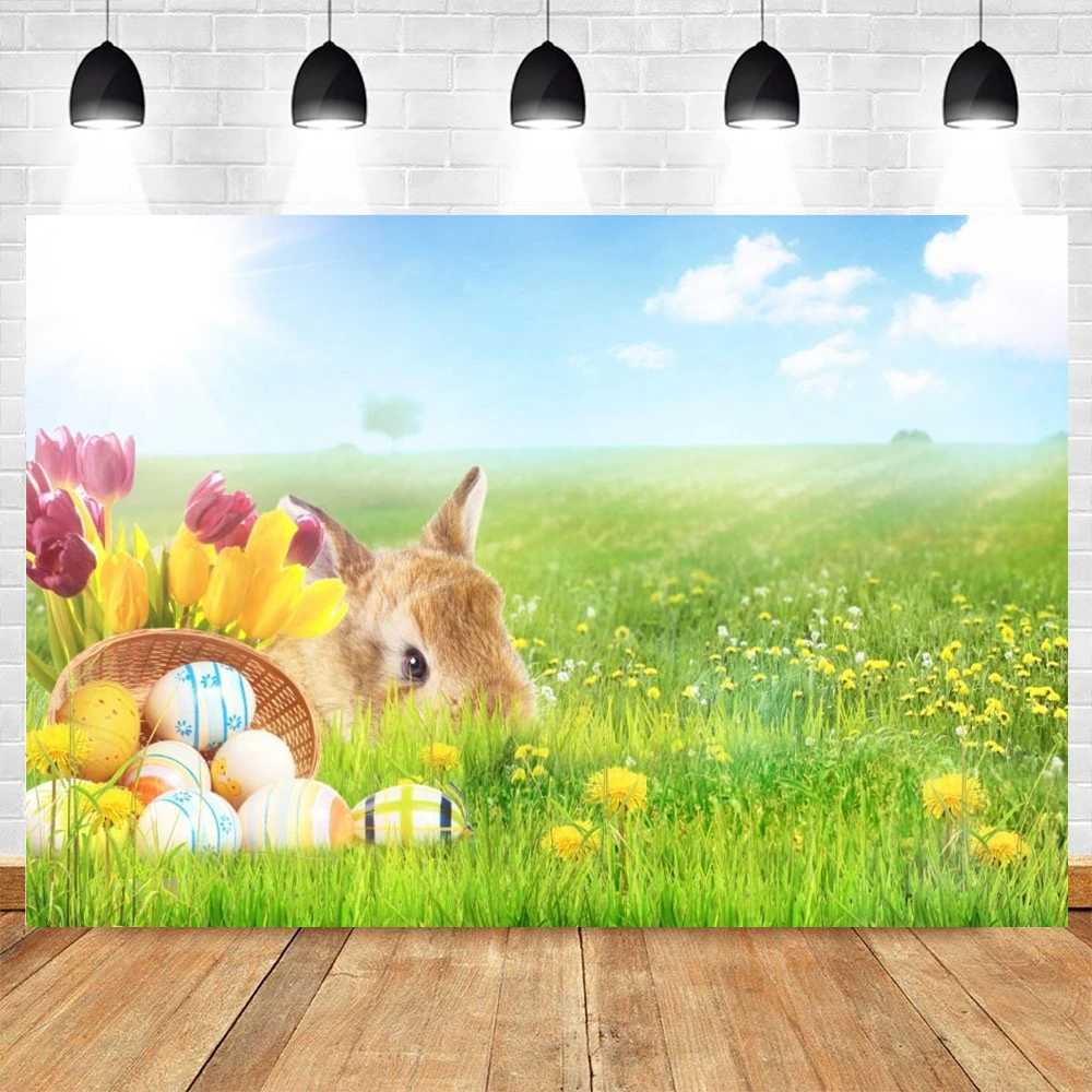 

Spring Easter Backdrop Eggs Rabbit Bunny Grassland Photography Background Party Baby Portrait Photo Booth Banner Decoration Prop
