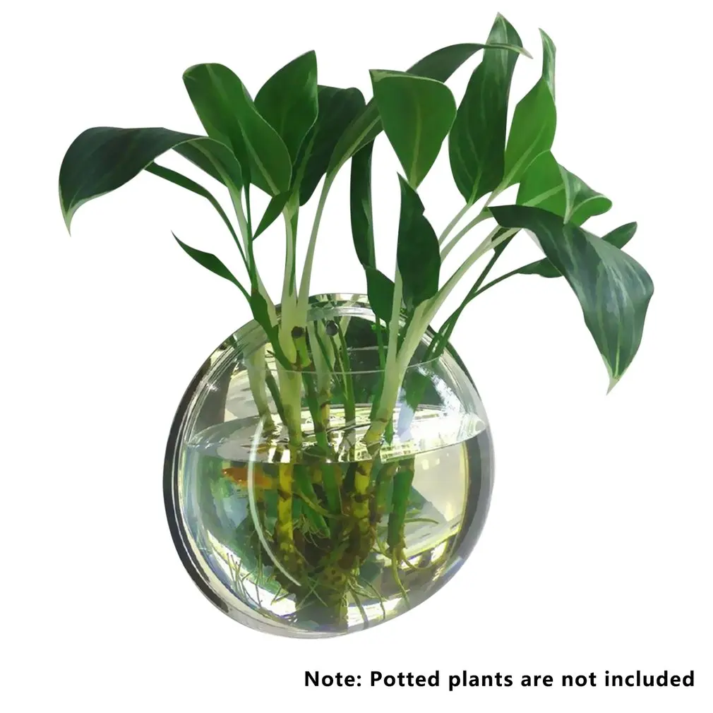 

New Terrarium Flower Vase Hanging Model Ball Shape Glass Material For Home Garden Decoration Tansparent Flower Vase