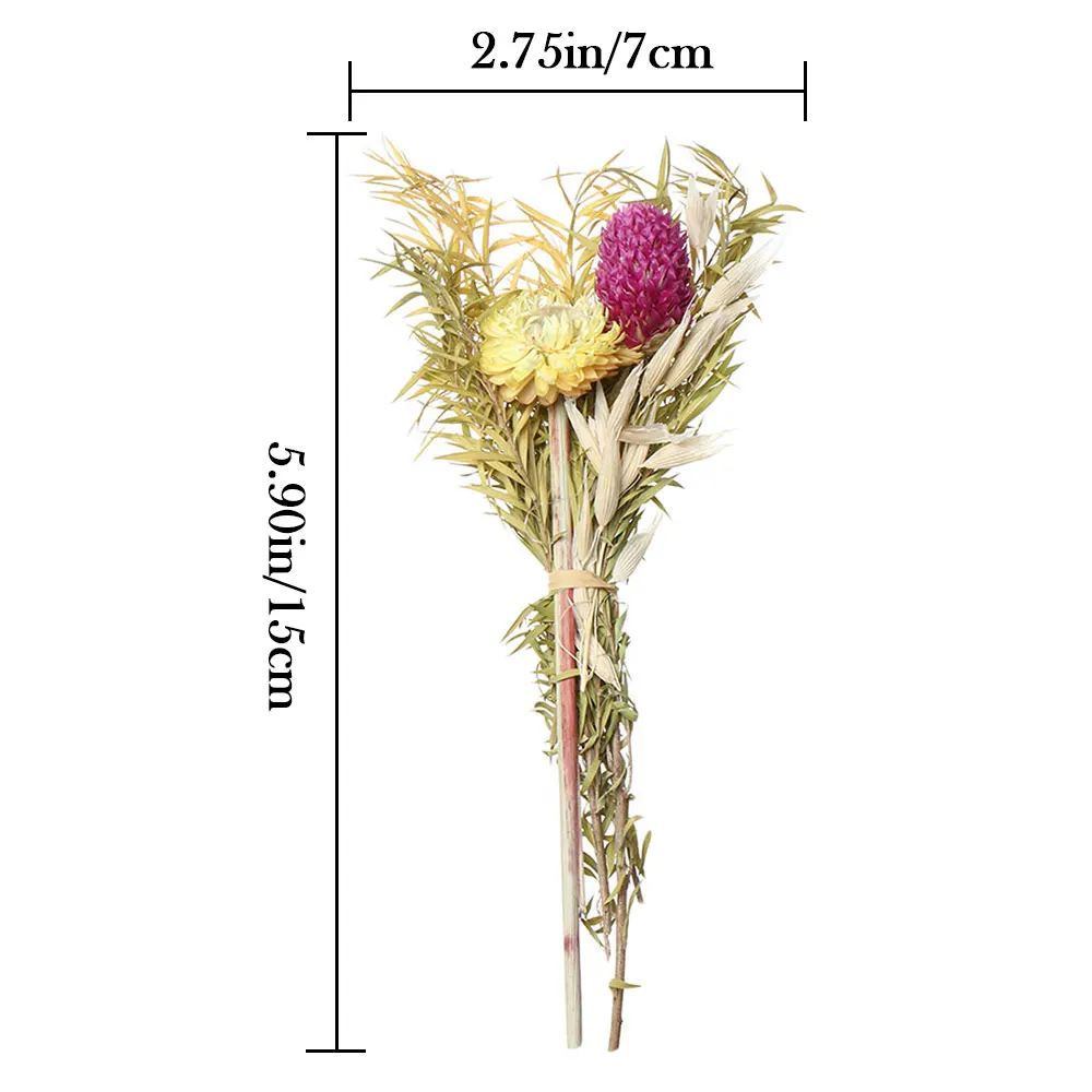 Букет из сушеных пампасов набор 15 штук натуральный тростниковый букет для