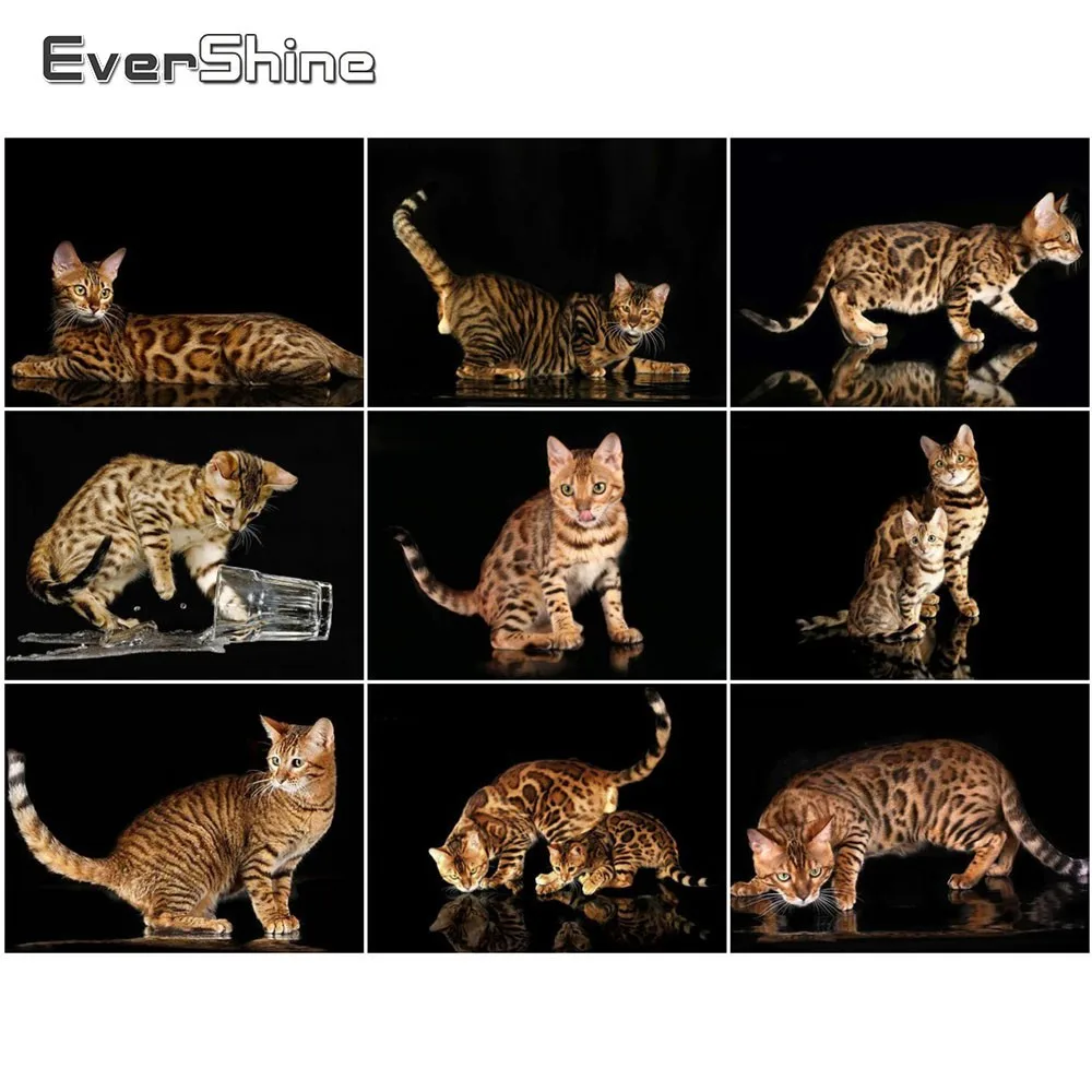 EverShine 5D DIY Полный Квадратный Алмаз Живопись Кошка Вышивки Крестом Алмазная