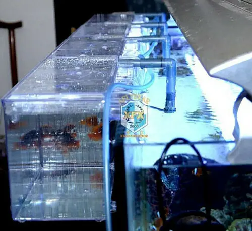 Коробка для рыб аквариума разведения подвесной съемник инкубатор изоляция