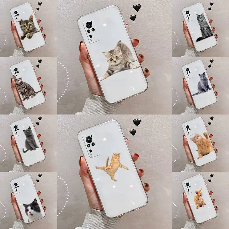 

cat Phone Case Transparent For VIVO NEX V Z Y X 17 15 11 9 6 5 3 1 i S MAX PRO X 20SE Soft TPU Mobile bags