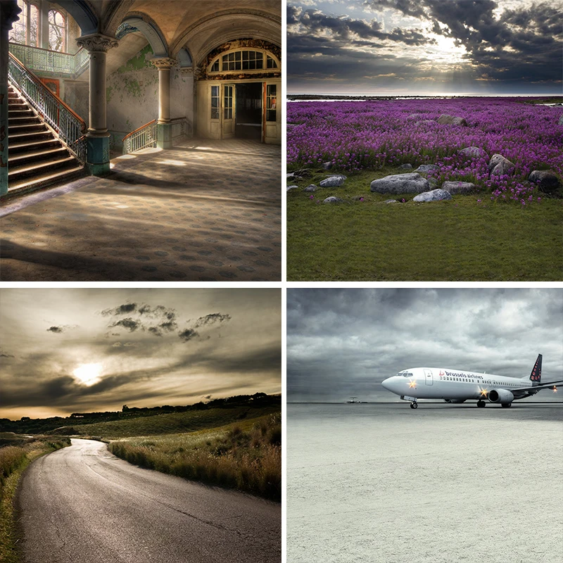 Nitree Лаванда гриб дерево снег самолет прерий дорога фото студия фон фотография