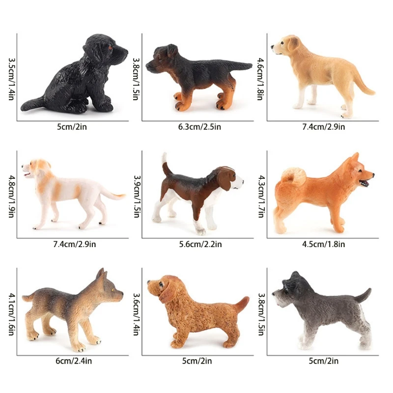 

9Pieces Realistic Dog Model Figure Hobby Collection Boutique Supplies Education Interactive Animal Figurine for Kids