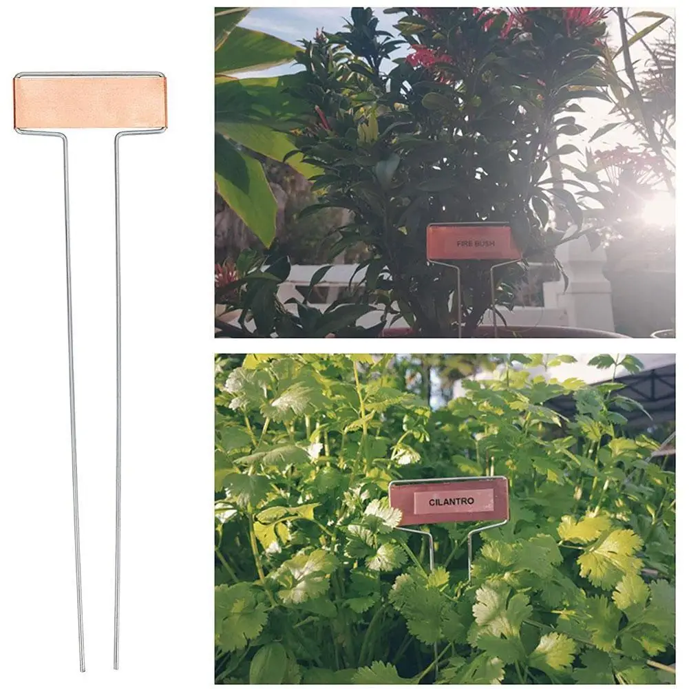 

20Pcs Metal Plant Label T-shaped Gardening Mark Courtyard Garden Flower Pot Herb Pot Display Mark Plant Label