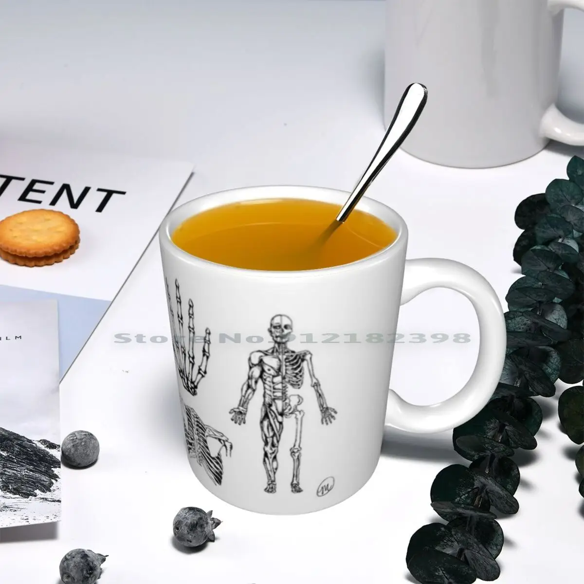 Human Anatomy Illustrations 2 Ceramic Mugs Coffee Cups Milk Tea Mug Bones Skeleton |