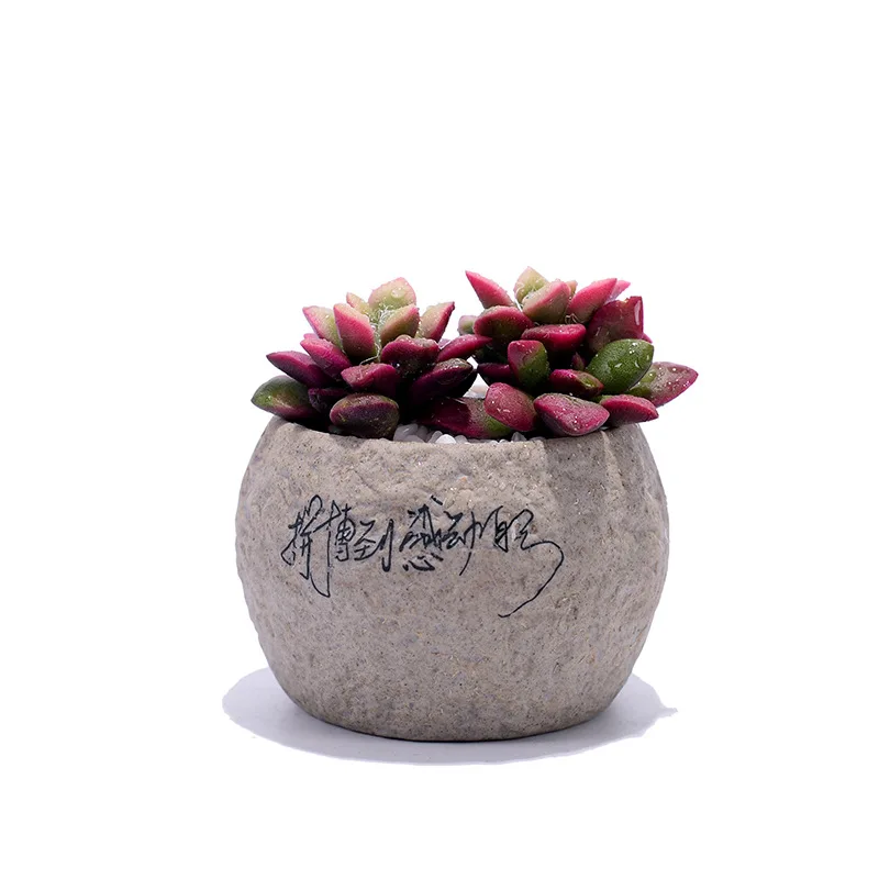 

Mini Fleshy Flowerpot Creative Small Flowerpot Ornaments Simple and Airtight Ceramic Plant Flowerpot Decorations for Desktop