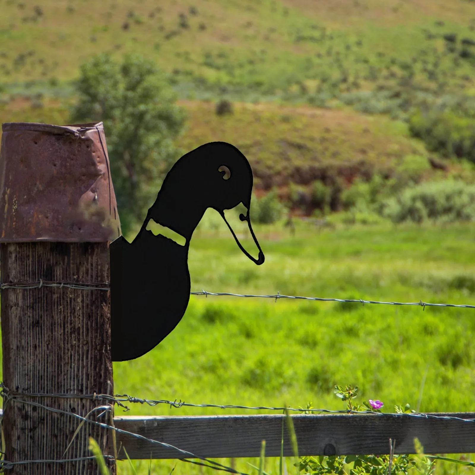 Уличное украшение для сада стены забора фермы животные глаз крупный рогатого