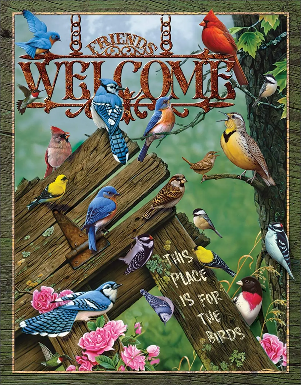 

Desperate Enterprises Welcome - This Place is for The Birds Tin Sign, 12.5" W x 16" H