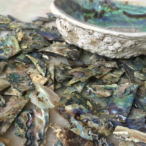 

50g Abalone Shell Scrap Inlay Craft Leftovers PAUA THICK