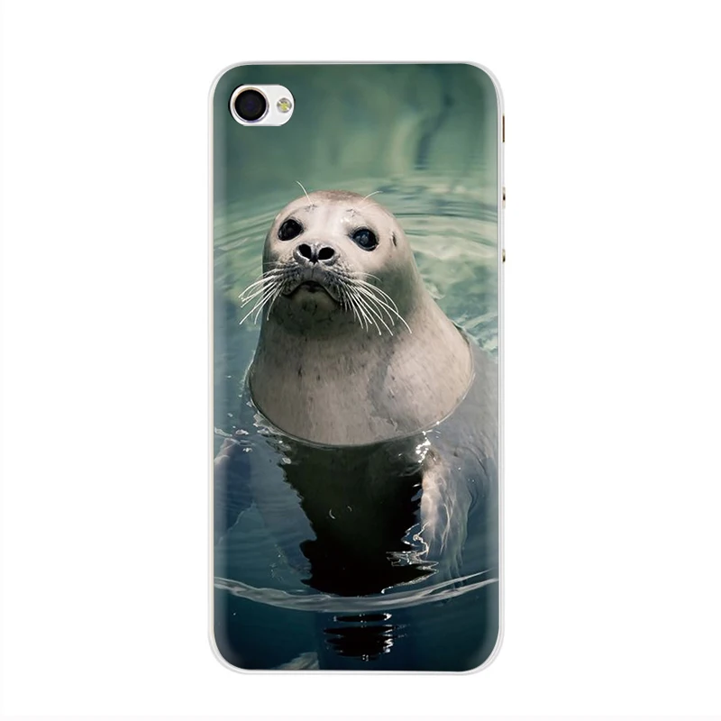 H5 Жесткий чехол для телефона EWAU Baby harp Seal Sea Lion чехол для iPhone 5 5S SE 5C 6 6s Plus 7 8 Plus X XR XS 11 Pro MAX - Цвет: H5