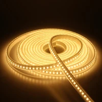 ac220v dimming leadless led strip light 240v 120ledsm warm neutral cool white flexible led strips brighter rope light