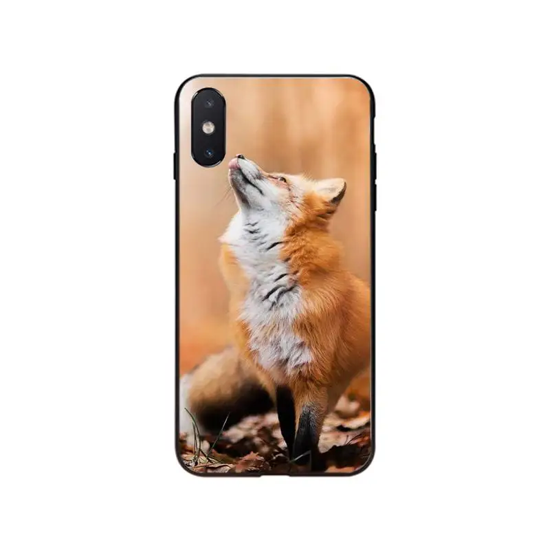 Чехол для iPhone 12 11 Pro XS MAX XR 7 8 6Plus 5 5S SE