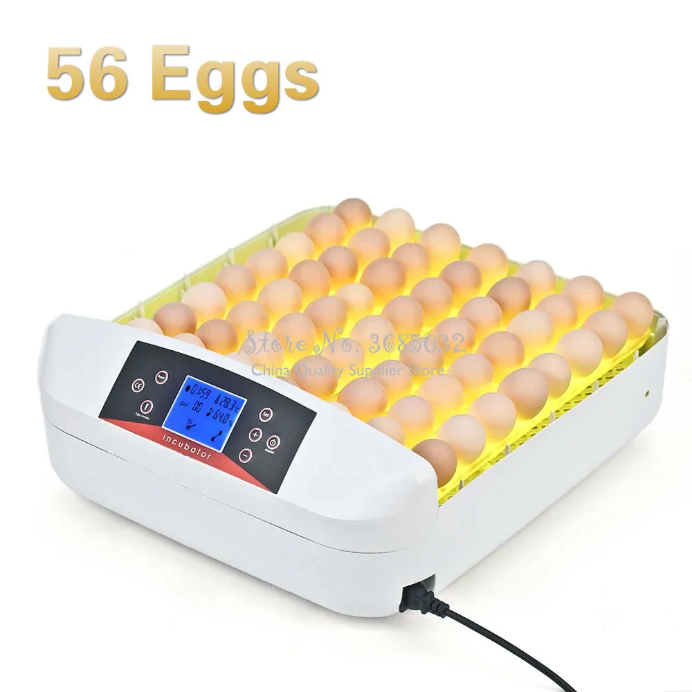 

Full-automatic Egg Incubator Intelligent Hatcher 56 Eggs Hatching Machine for Chicken Duck Transparent Plastic with Egg Tester