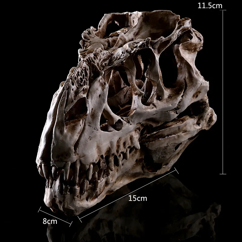 Resin Dinosaur Skull Model Tyrannosaurus Rex Skull Skeleton School Medical Science Educational Supplies Skull Skeleton Models
Resin Dinosaur Skull Model Tyrannosaurus Rex Skull Skeleton School Medical Science Educational Supplies Skull Skeleton Models