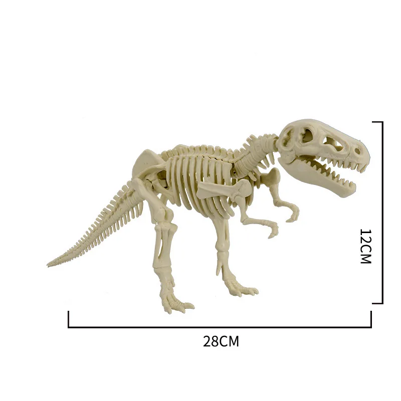 

dinosaur fossils Toy assembled Archaeological excavation dinosaur skeleton Digging Fossils dinosaur model toys DIY Dinosaur Toy