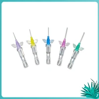 50pcslot pet intravenous indwelling needle sterile packaging disposable indwelling needle 22g 24g