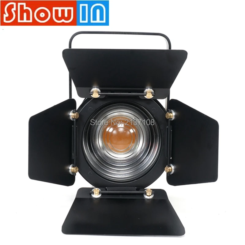 Светодиодная лампа с ручным зумом 100 Вт японская RA90 сценическое освещение