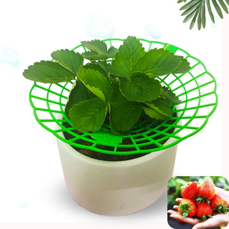 Подставка для клубники рамка держатель садовая подставка поднос растений стойка