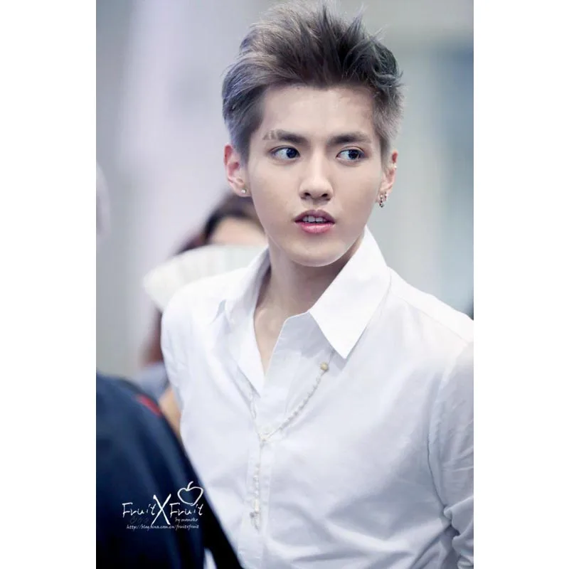 Kris wu холст ткань искусство на заказ печать холсте профессиональное домашнее
