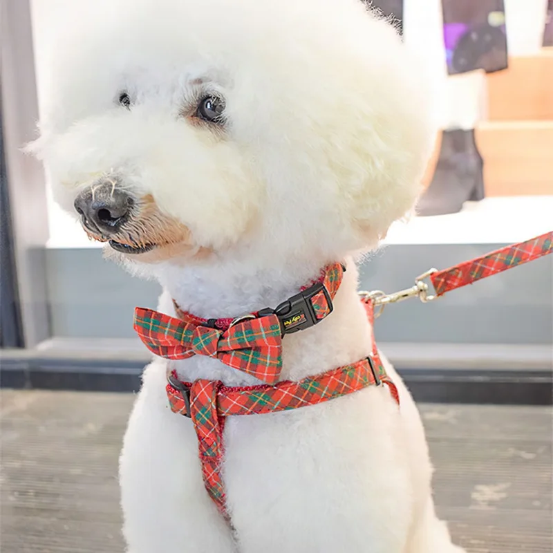 Собачий ошейник однотонный D образный бант ошейники для щенков чихуахуа с