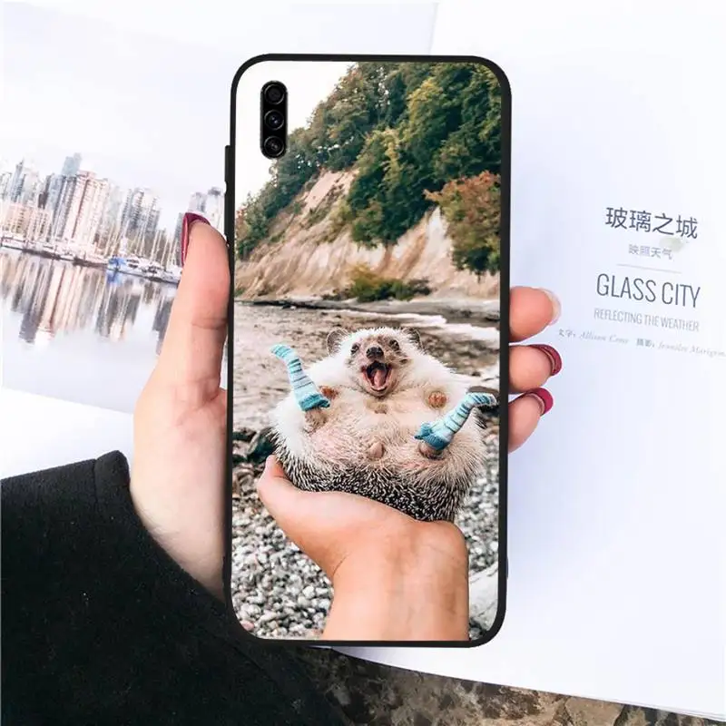 

Cute Hedgehog Phone Cases For Samsung galaxy S 21 20 10 8 A 51 71 50 21s 70 40 20 20e note 10 plus Ultra 5g fe