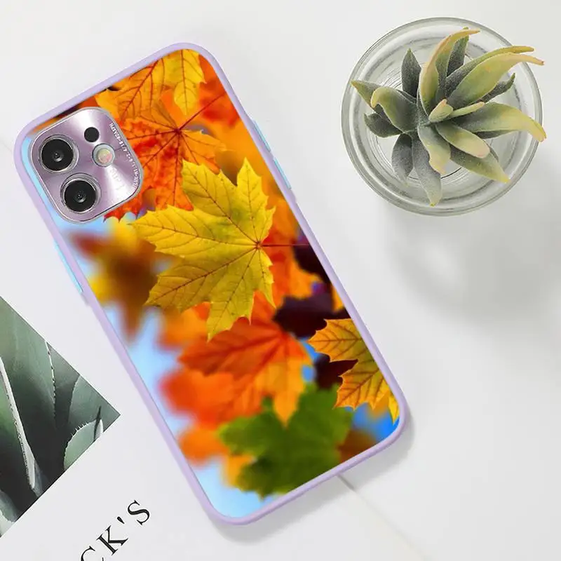

Autumn leaves fall fox pumpkin Halloween Splendid Phone Case For iPhone 12 11 Mini Pro XR XS Max 7 8 Plus X Matte transparent