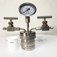 hydrothermal synthesis autoclave reactor vessel inlet outlet gauge 100ml 6mpa