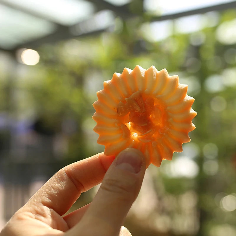 

Pastry Stainless Steel Professional Piping Tip Icing Tip Piping Nozzle Leaf Pastry Tips Pastry Bags For Kitchen Baking