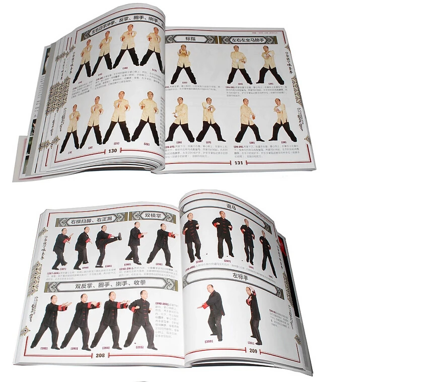 Booculchaha Wing Chun book от lian you с двумя DVD-дисками для начинающих учеников книга